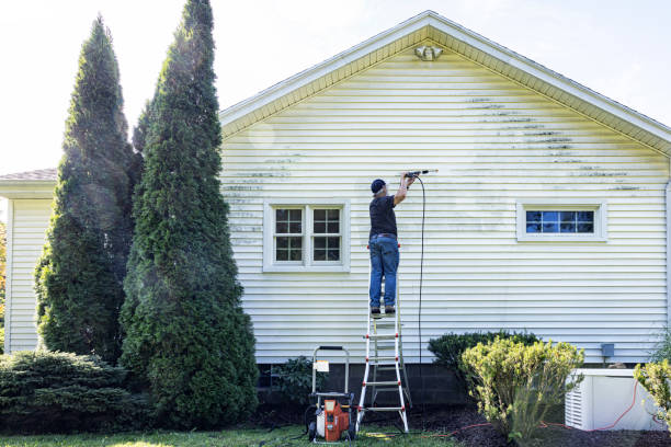 Best Building Exterior Pressure Washing in USA